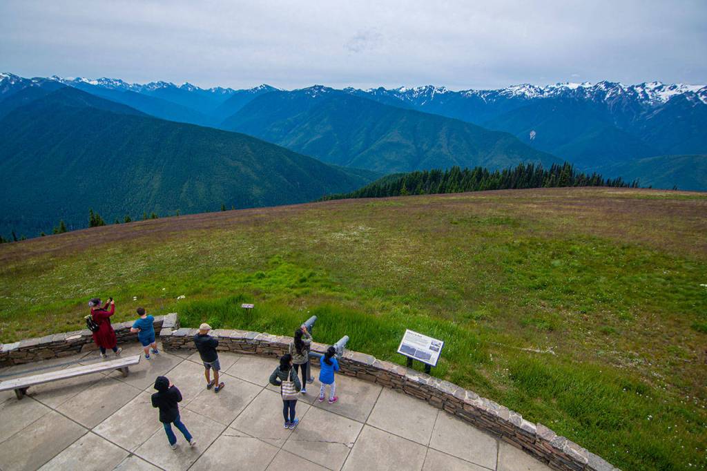 Visitors at Hurricane Ridge view the sights of Olympic National Park as park officials continued to remove mountain goats from the park on Tuesday. (Jesse Major/Peninsula Daily News)