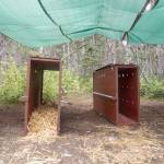 Crates that mountain goats are transported in. (Jesse Major/Peninsula Daily News)