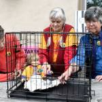 Child detention protest planned for Friday in Port Townsend