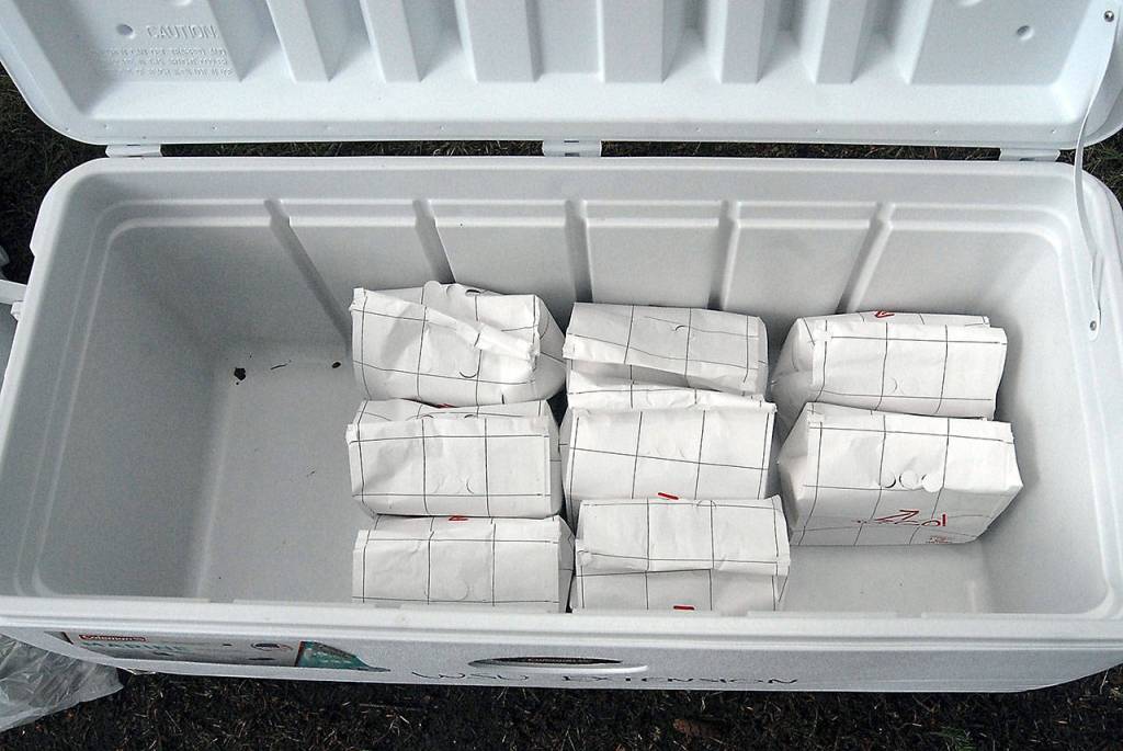 Sack lunches sit in a cooler awaiting distribution at Jesse Webster Park in Port Angeles. (Keith Thorpe/Peninsula Daily News)