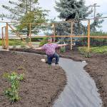 Planted, mulched, irrigated and ready to grow. (Jeanette Painter)