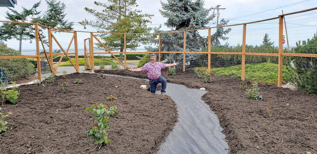 Planted, mulched, irrigated and ready to grow. (Jeanette Painter)