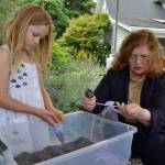 Lucca Schiefen and her grandmother Barbara Brown of San Francisco prepare sachets for a busy weekend of visitors to Jardin du Soleil Lavender Farm. The farm partners with Olympic Lavender Farm to host two festivals for the price of one during Sequim Lavender Weekend. (Matthew Nash/Olympic Peninsula News Group)