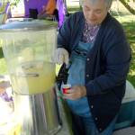 Kitty Bs Lavender Farm volunteer Lynda Tripp pours a sample of lavender lemonade Saturday during Lavender Weekend. (Keith Thorpe/Peninsula Daily News)