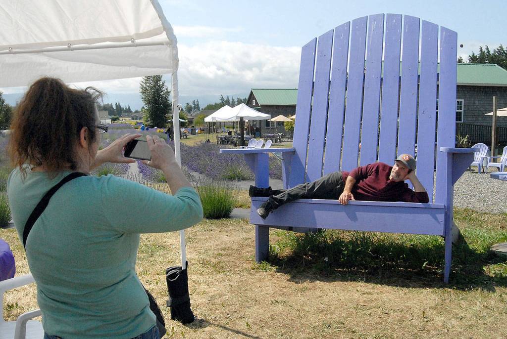 Brian Morrow of Omaha, Neb., lies in an oversize chair as his wife, Tammie Morrow, takes a cellphone photo at Olympic Lavender. (Keith Thorpe/Peninsula Daily News)