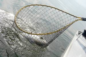 OUTDOORS: Area 9 anglers seek success at Midchannel Bank