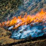 In this July 30, 2018, file photo, firefighters control the Tollgate Canyon fire as it burns near Wanship, Utah. (Rick Egan/The Salt Lake Tribune via AP, File)