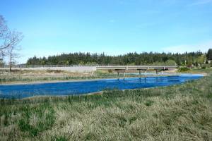 Construction on new bridge near Marrowstone Island starts Monday