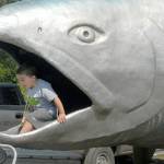 Three-year-old Qaysen Solheim of Joyce emerges from the mouth of Fin the Salmon, an educational display at Joyce Daze.
