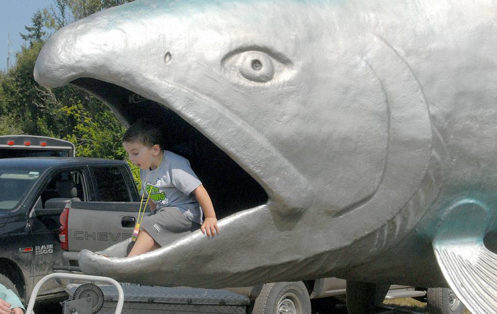 Three-year-old Qaysen Solheim of Joyce emerges from the mouth of Fin the Salmon, an educational display at Joyce Daze.