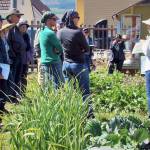 Laurel Moulton, WSU Clallam County Extension Master Gardener coordinator, talks to participants in a recent Second Saturday Garden Walk in the Fifth Street Community Garden. (Amy McIntyre)
