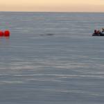 Calm waters assisted a response team in finding an entangled humpback whale near Tatoosh Island. (NOAA Fisheries)