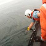 Members of a response team approach an entangled humpback whale near Tatoosh Island. The response team included members from SR3: Sealife Response, Rehabilitation, and Research; Cascadia Research Collective; the Makah Tribe; the state Department of Fish and Wildlife; and World Vets. (NOAA Fisheries)