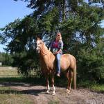 HORSEPLAY: Local equestrian’s second mystery novel coming soon