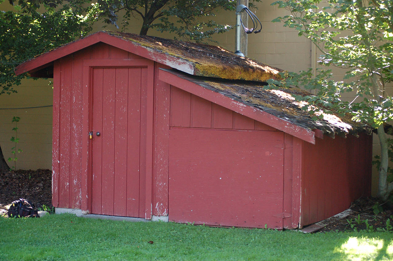 The Pioneer Memorial Park storage shed before Ian Thill and his crew of friends started removing the roof as part of his Eagle Scout project. The shed has changed little in the more than 30 years since it was built to serve as the parks pumphouse. (Conor Dowley/Olympic Peninsula News Group)