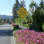 Sequim seeks input on possible connector street