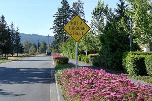 Sequim seeks input on possible connector street