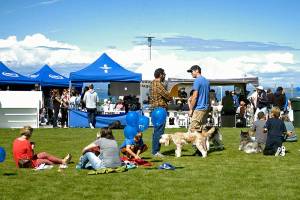 Jammin’ in the Park community party on Saturday