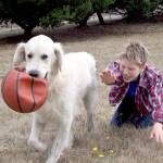 Wynston Becker, 9, plays with Gabe, a golden retriever owned by Mary Armstrong, at the Mountain View Dog Park. The park had a soft opening last week after fencing and gates were installed on the property. (Brian McLean/Peninsula Daily News)