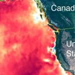 New marine blob forms off West Coast