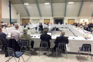 Orca task force hears about whale watching, dam breaching