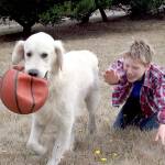 Ribbon-cutting for Mountain View Dog Park set for Friday