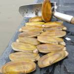 State Department of Fish and Wildlife Razor clam diggers will have plenty of opportunity this fall to dig for limits at the states southern beaches. Kalaloch Beach in western Jefferson County is not expected to host any digs this year.
