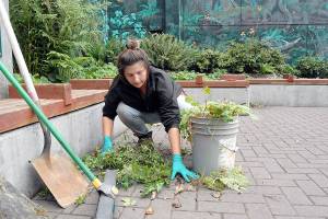 PHOTO: Port Angeles workers prepare city fountain for fall