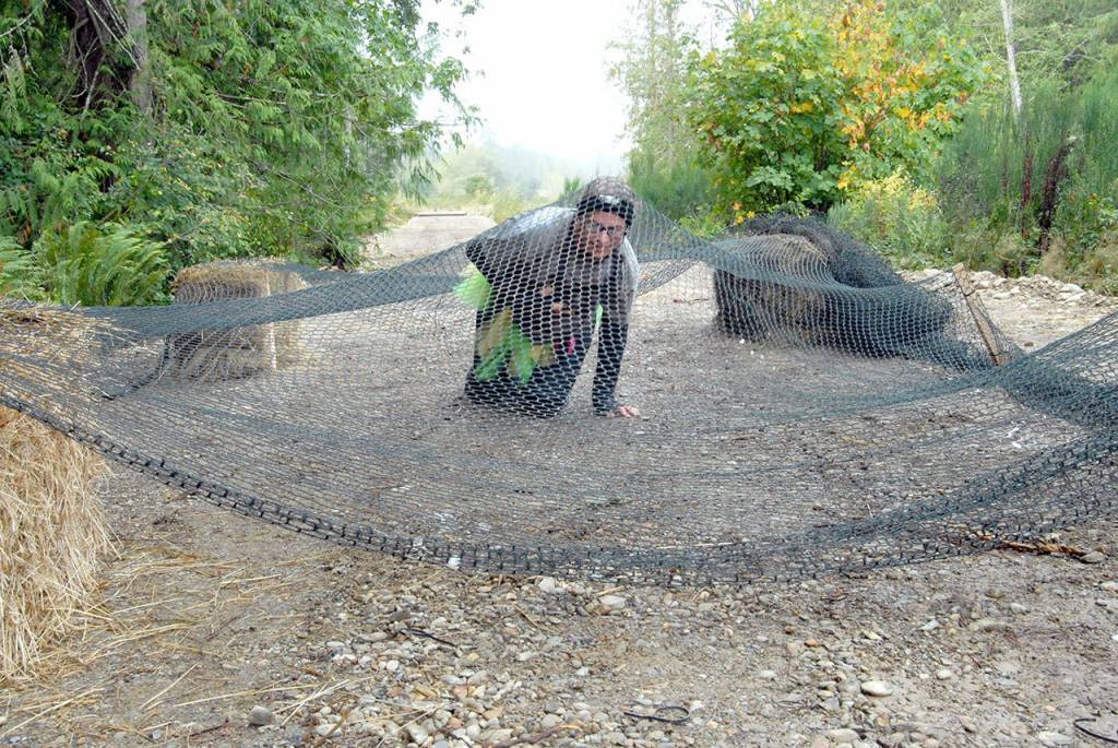 Danielle DeOliveira of Port Angeles crawls under a low-hanging net on her way through the Run-A-Muck course on Saturday. (Keith Thorpe/Peninsula Daily News)