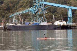 PHOTO: Paddling by in Port Angeles Harbor