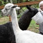 19 farms on Jefferson County tour this weekend