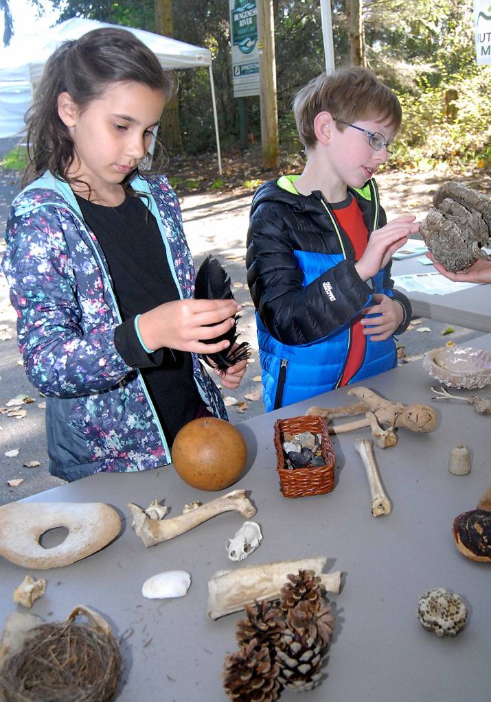 Caitlin Gerdes, left, and Thomas Whitteker, both third-grade students at Helen Haller School in Sequim, examine natural objects, including a feather and a bee hive, at an educational display set up by Olympic Nature Experience during Fridays Dungness River Festival, a celebratrion of conservation and of the outdoors. (Keith Thorpe/Peninsula Daily News)