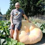 Ryan Nefcy leans against his sturdy Atlantic giant pumpkin, named Gertrude, which weighed in at more than 1,000 pounds. (Laura Guido/Whidbey News-Times)