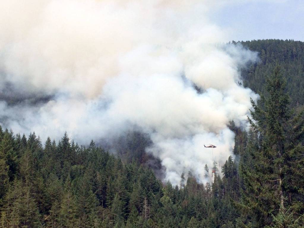 Smoke from the Maple Fire in Mason County billows out from the trees in August 2018. (State Department of Natural Resources)