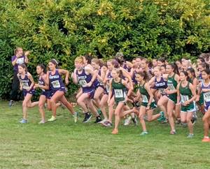 Port Angeles cross-country runners take off at an Olympic League meet at Battle Point Park in Bainbridge Island on Wednesday. The boys team came in first, while the girls team finished second.