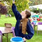 Volunteer Cheyenne Maggard, 16, of Port Angeles picks an apple from the Williams Manor orchards Friday. (Keith Thorpe/Peninsula Daily News)