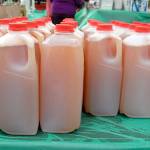 Jugs of freshly-pressed cider await the public at Applestock for a donation to the Salvation Army. (Keith Thorpe/Peninsula Daily News)
