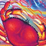 Dungeness Crab & Seafood Festival online edition