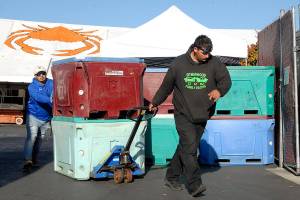 Canadians to pack Coho ferry for CrabFest