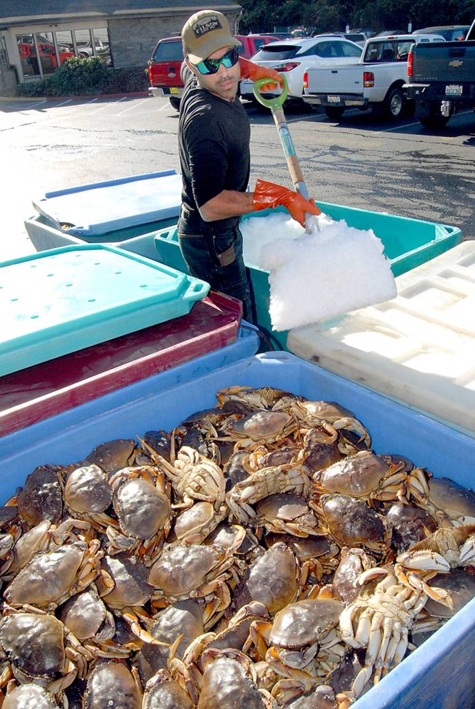 Canadians to pack Coho ferry for CrabFest