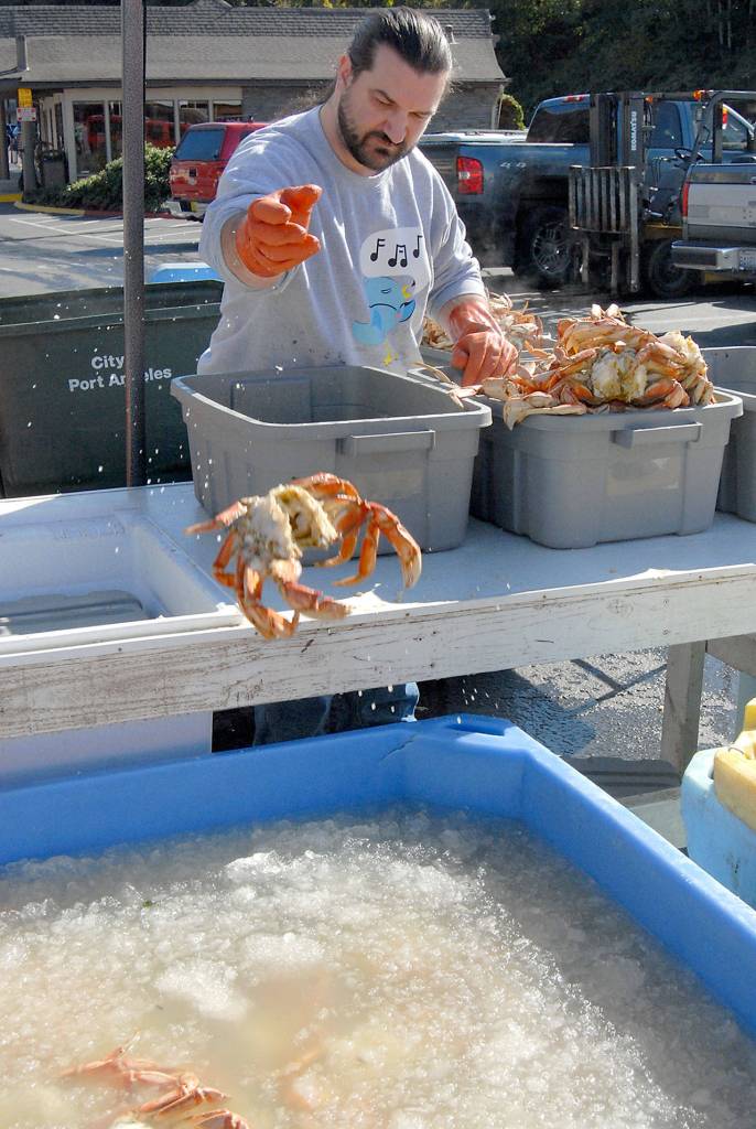 Crab cleaner Luke Weaver of Port Angeles tosses a gutted crab into an ice-filled container on Thursday in preparation for todays opening of the Dungeness Crab and Seafood Festival in Port Angeles. (Keith Thorpe/Peninsula Daily News)