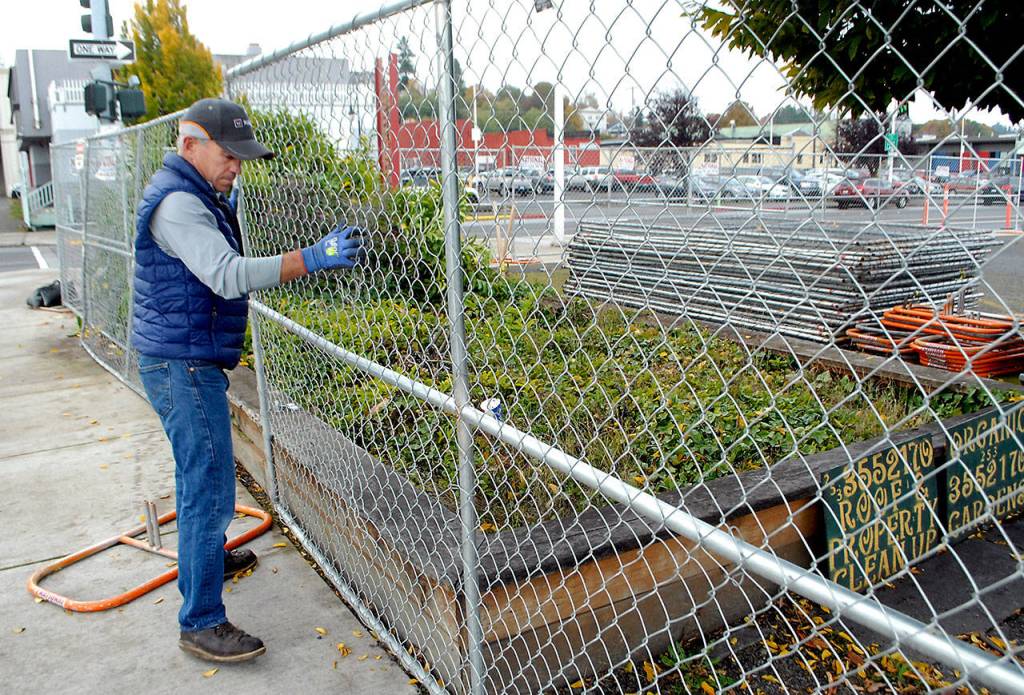 Don Frostad, an employee of Minneapolis, Minn.-based M.A. Mortenson Company, on Wednesday straightens construction fencing surrounding the First and Oak streets site of the future Field Arts and Event Hall on the Port Angeles waterfront. (Keith Thorpe/Peninsula Daily News)