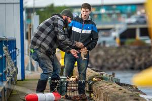 Bringing in crab at Port Angeles City Pier