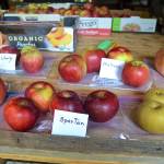 More than 200 varieties of apples and pears will be displayed at Saturdays Fall Fruit Show. (Matthew Nash/Olympic Peninsula News Group)