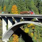 Peninsula’s fall colors on display over Elwha River