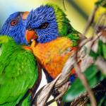 Photography, weaving, painting on display during Port Townsend Gallery Walk