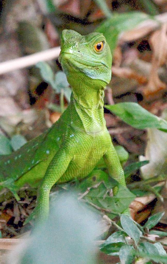 Nature photographer Beverly McNeils work will be on display this weekend.