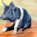 Watercolors, photography, yarn art featured during Second Saturday