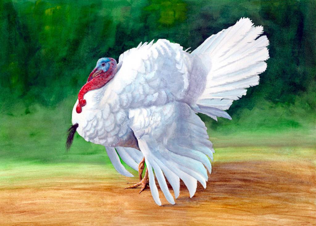 Watercolors, photography, yarn art featured during Second Saturday