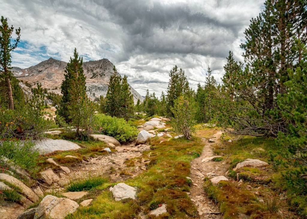 Watercolors, photography, yarn art featured during Second Saturday